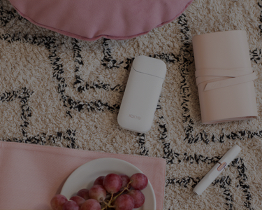 White IQOS 2.4 Plus holder, charger and a pink cover on a carpet 