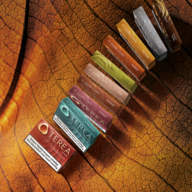 TEREA Schachtel und Tabakstick in Nahaufnahme dargestellt.