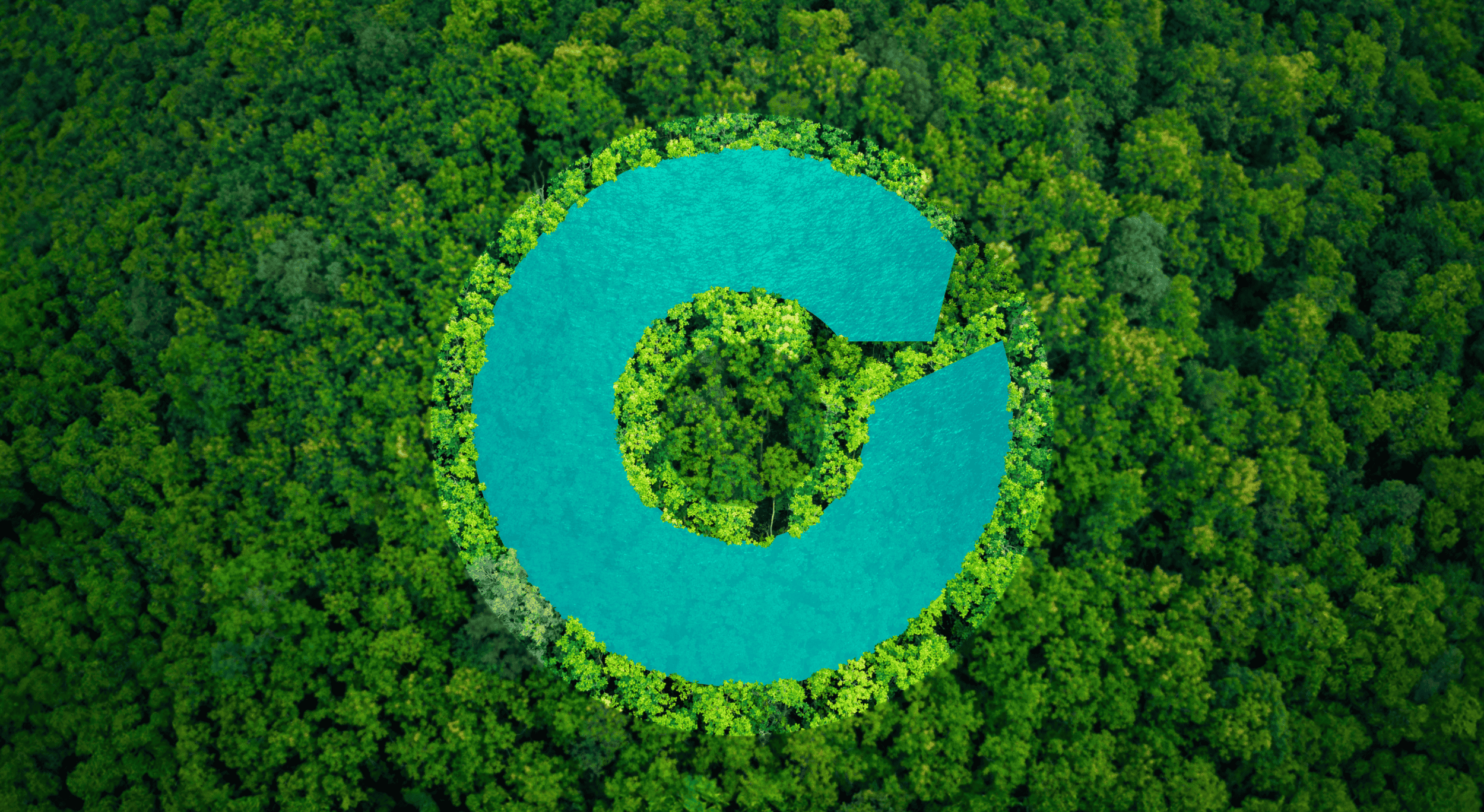 Verantwortung für die Umwelt. Unsere Bemühungen für die Umwelt.