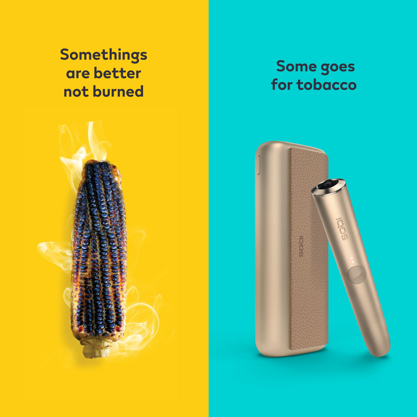 Burnt sausage on a fork compared to IQOS TEREA stick in an IQOS ILUMA holder.