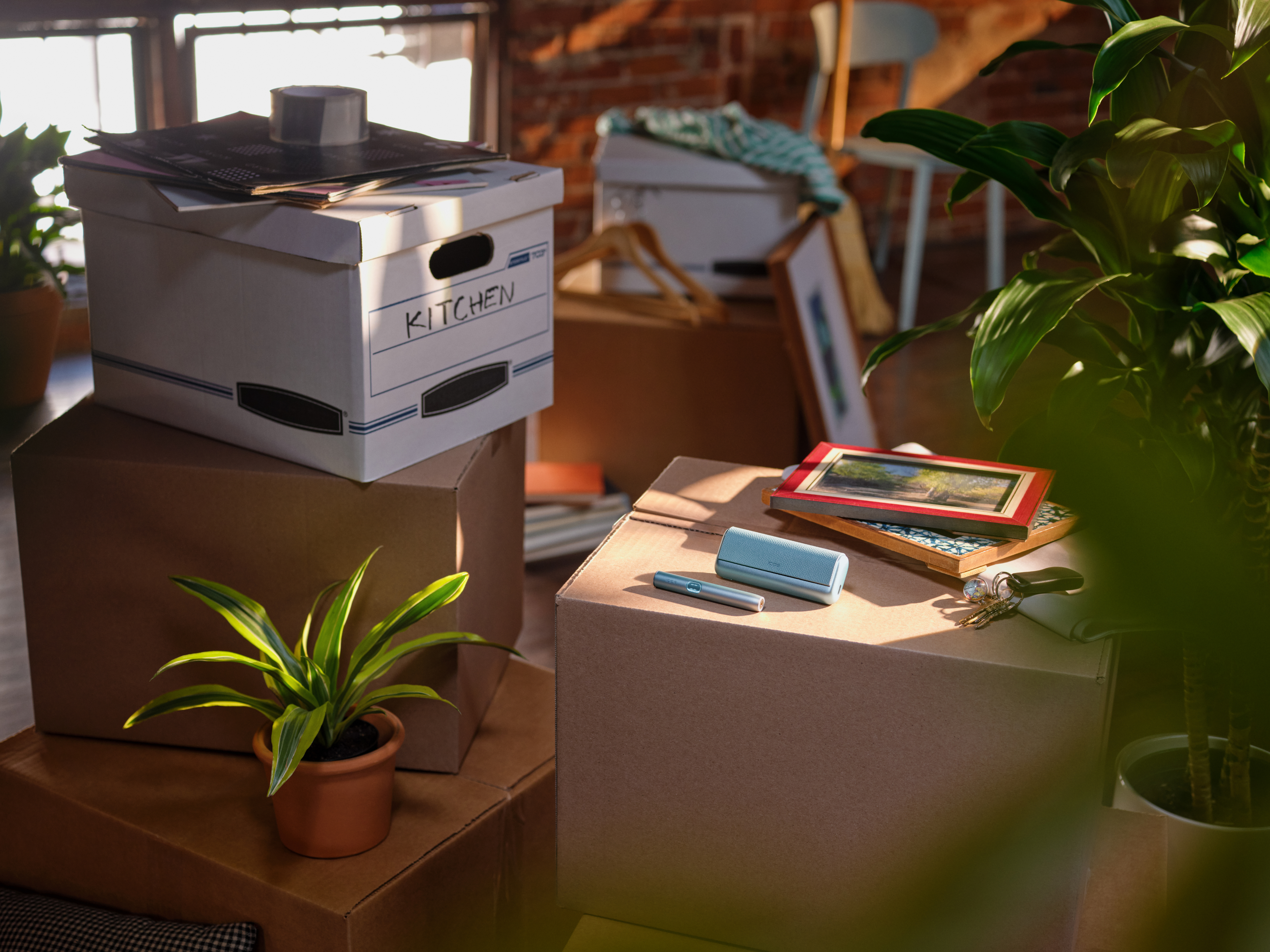 Iluma i azul con su cargador sobre caja de cartón en una sala iluminada