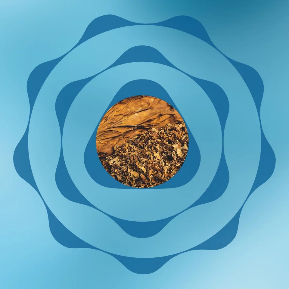 TEREA tobacco sticks instead of HEETSTM tobacco sticks