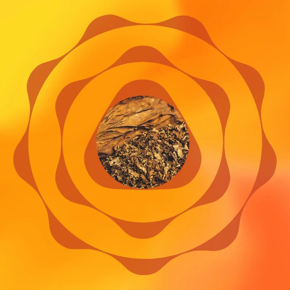 TEREA tobacco sticks instead of HEETSTM tobacco sticks