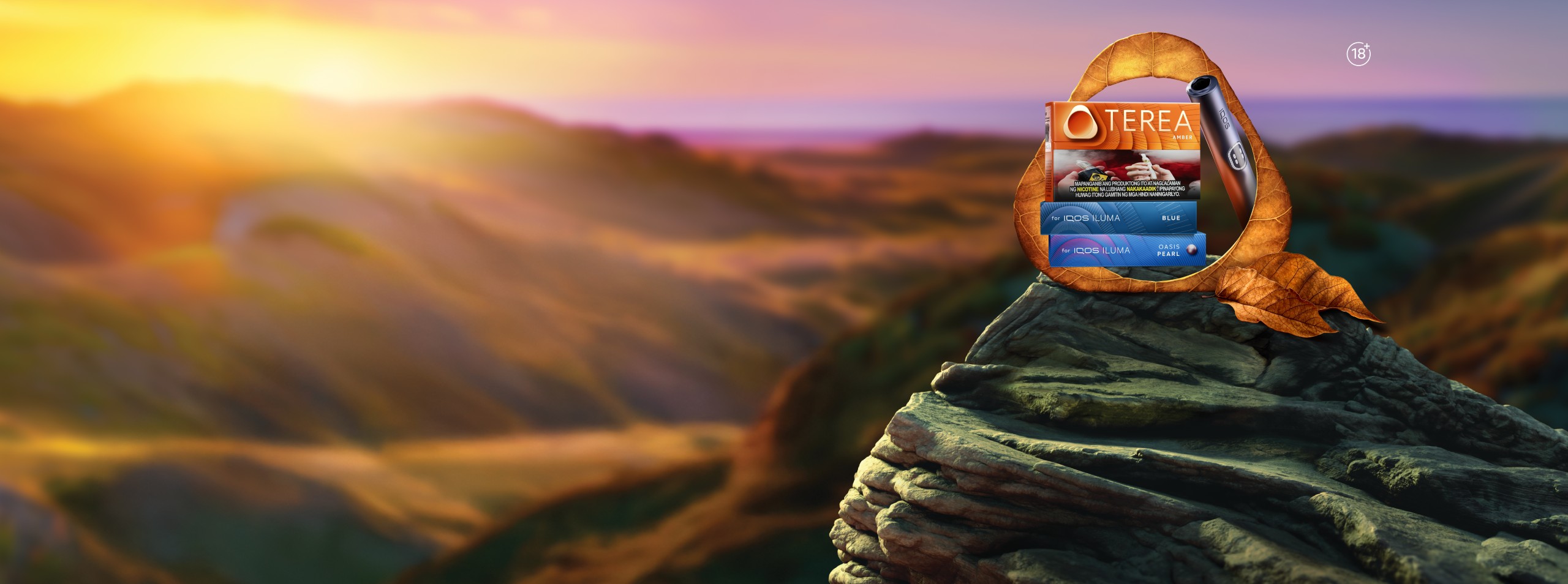 TEREA tobacco stick packs and an IQOS device showcased against a scenic sunrise landscape, framed by a dried leaf for a premium, nature‑inspired product presentation.