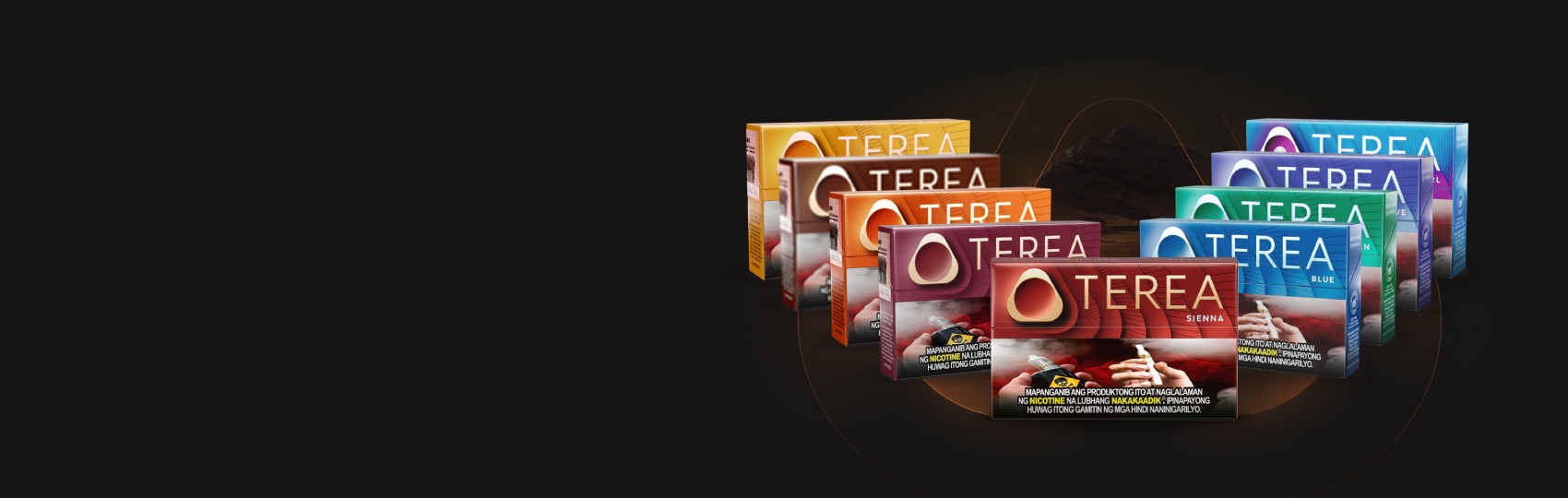 Assorted TEREA tobacco product packages arranged neatly on a clean surface.