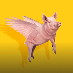 Flying pig