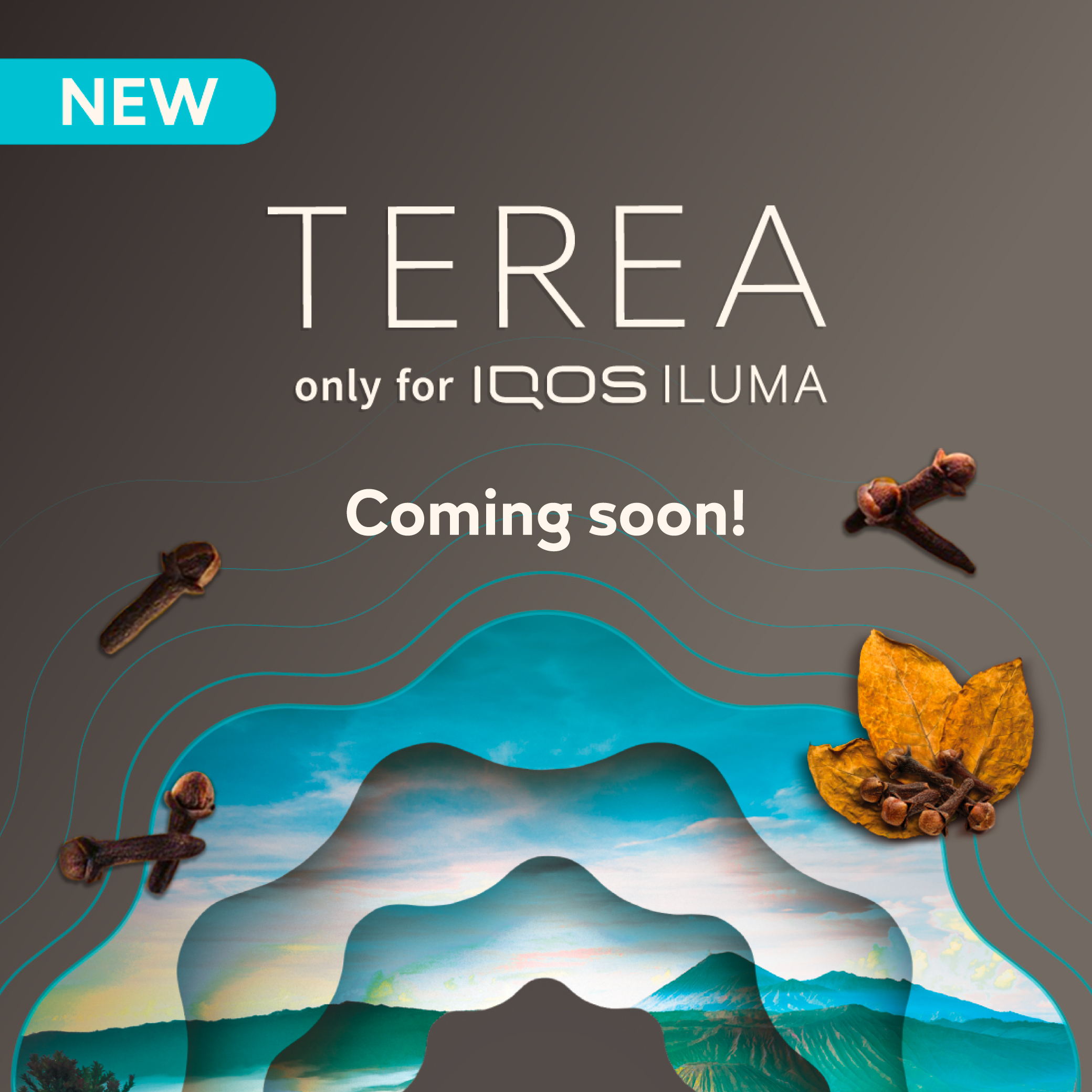 Telah Hadir TEREA™ Hanya untuk IQOS ILUMA Dengan Cita Rasa Cengkeh, Pertama di Dunia Dengan Cita Rasa Indonesia Telah Hadir TEREA™ Hanya untuk IQOS ILUMA Dengan Cita Rasa Cengkeh, Pertama di Dunia Dengan Cita Rasa Indonesia