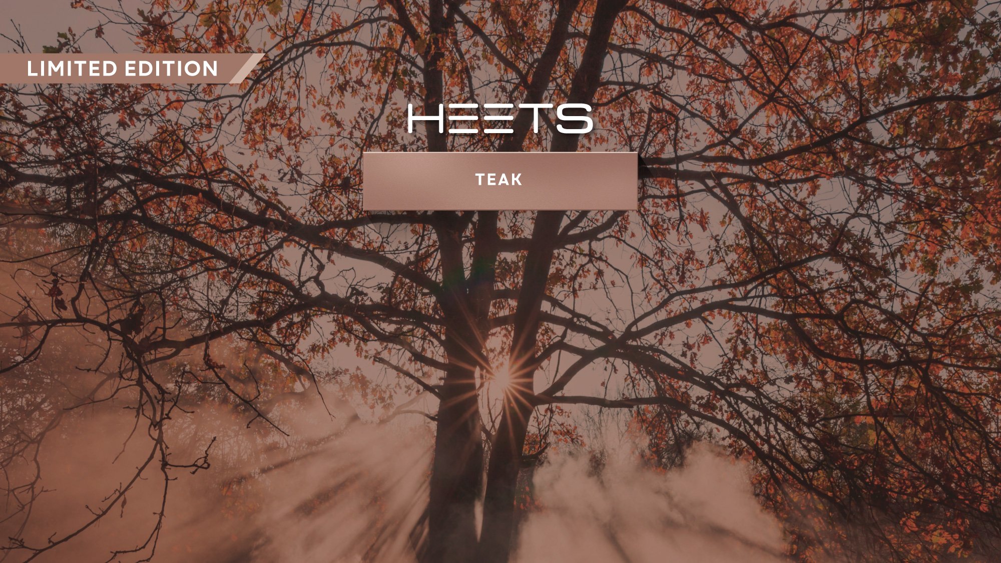 Teak_Web-Banner-Desktop true
