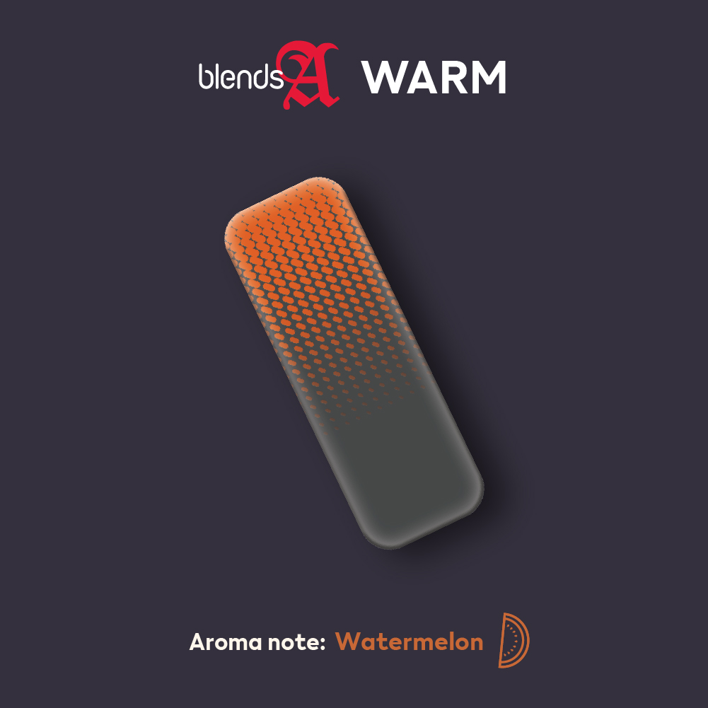 Carousel banner varian rasa BLENDS A Warm Classic 