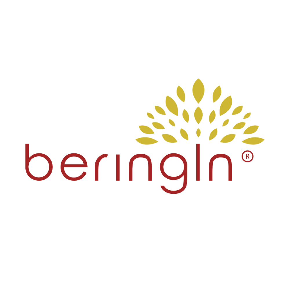 Pempek Beringin Radial  / TAA /  Demang  /  Sukamto