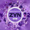 ZYN BLACKCURRANT FROST 11 MG (krabička) (ICY BLACKCURRANT)