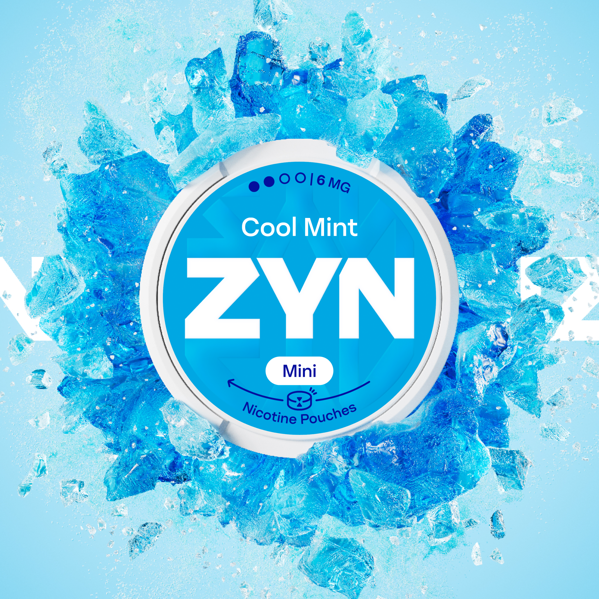 ZYN COOL MINT 6 MG (krabička) (Cool Mint)