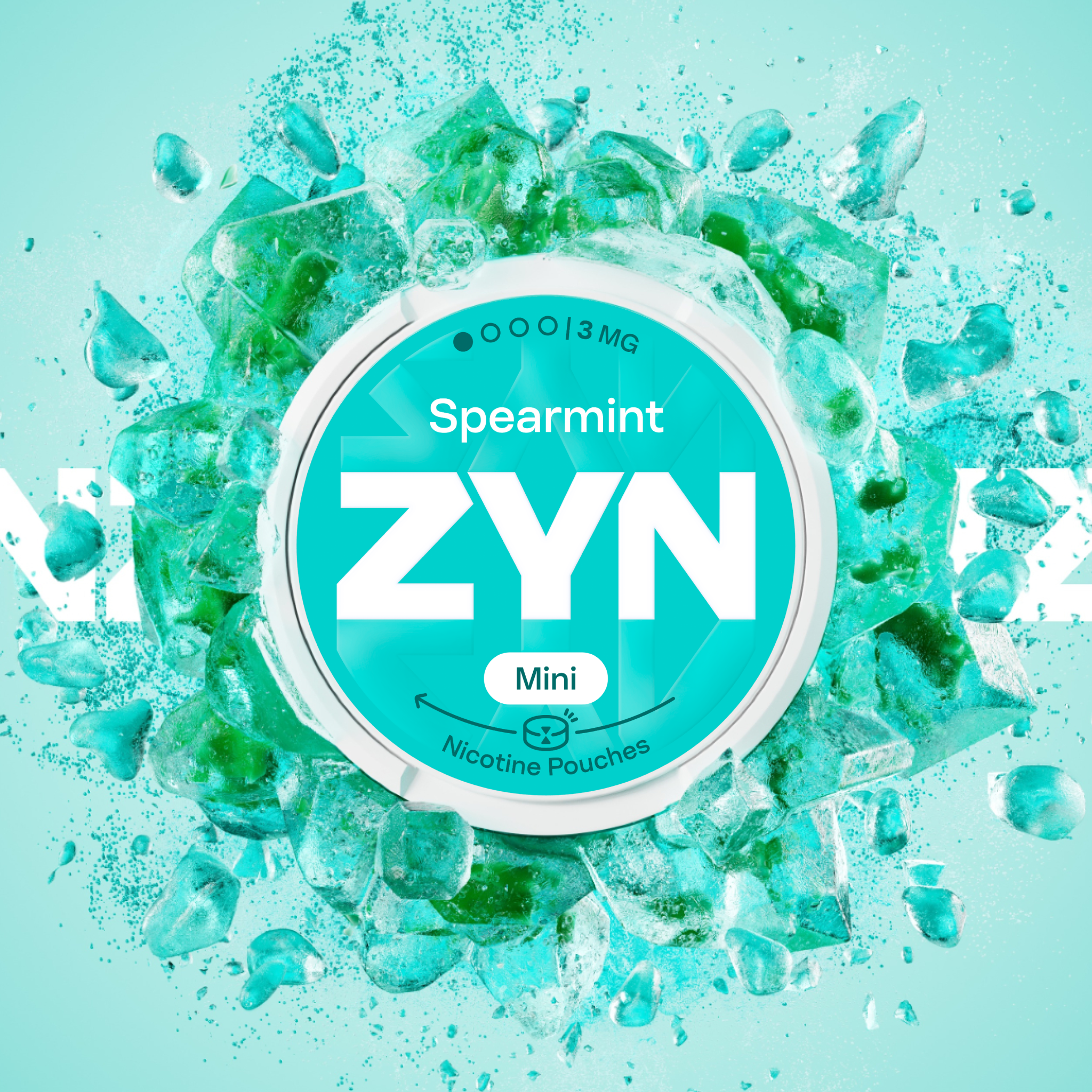 ZYN SPEARMINT 3 MG (krabička) (SPEARMINT)