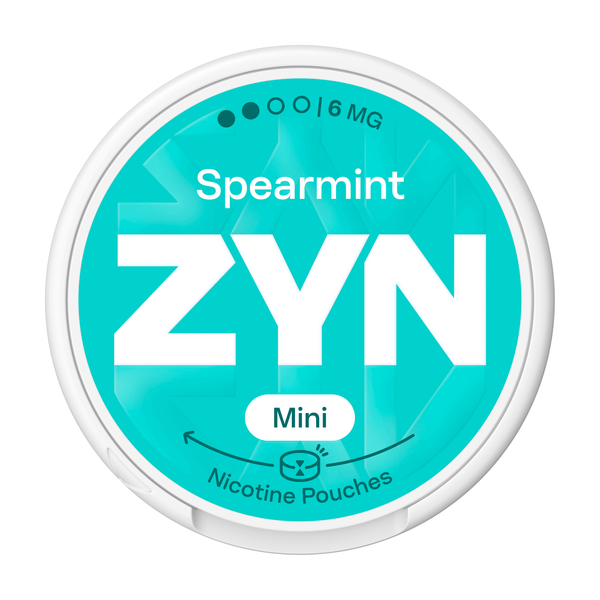 ZYN SPEARMINT 6 MG (krabička) (SPEARMINT)