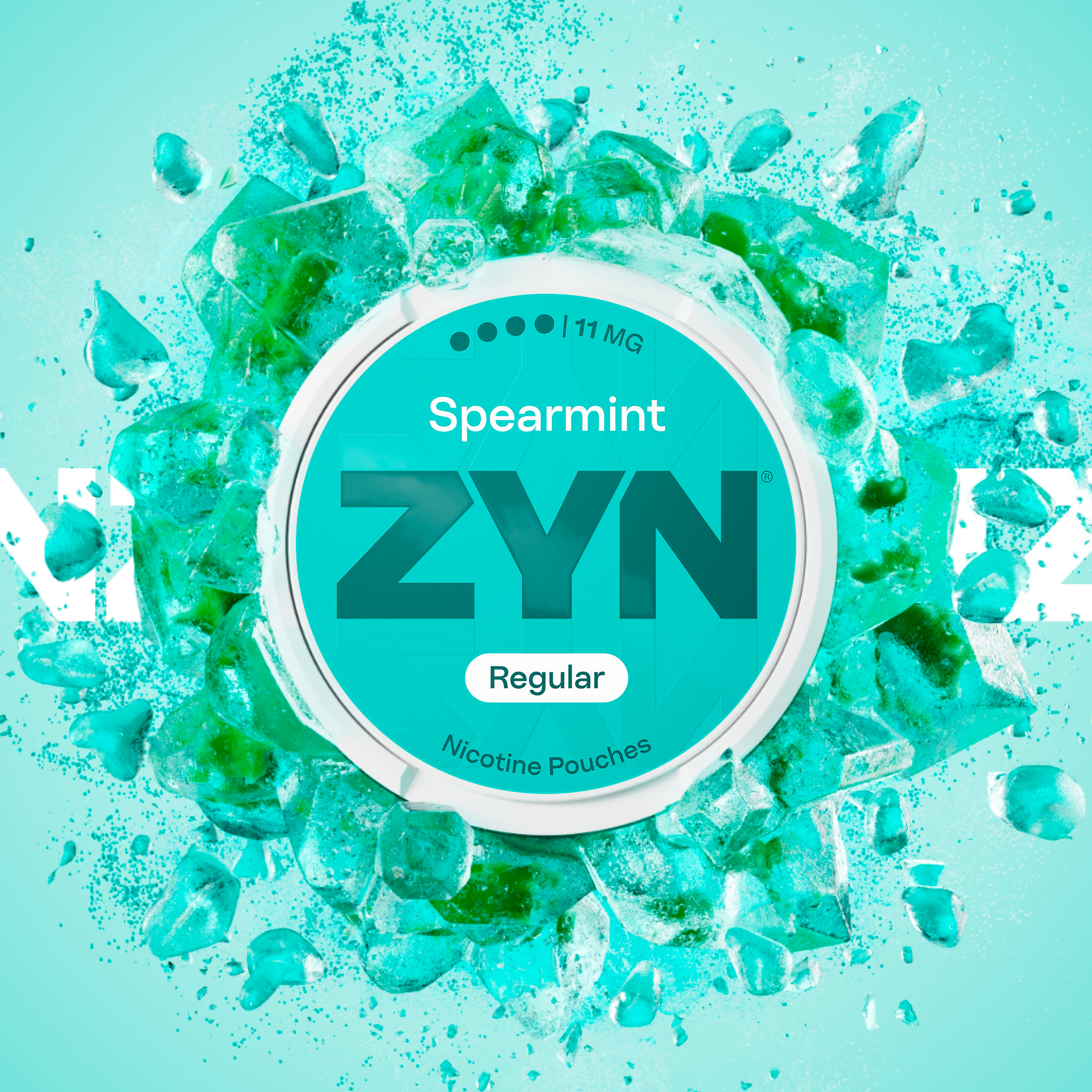 ZYN SPEARMINT 11 MG (KRABIČKA) (SPEARMINT)