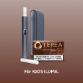 TEREA Bronze (Bronze)