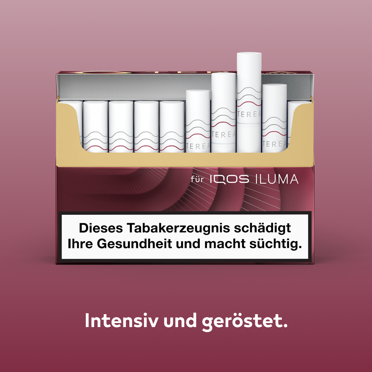 TEREA Russet (Russet)