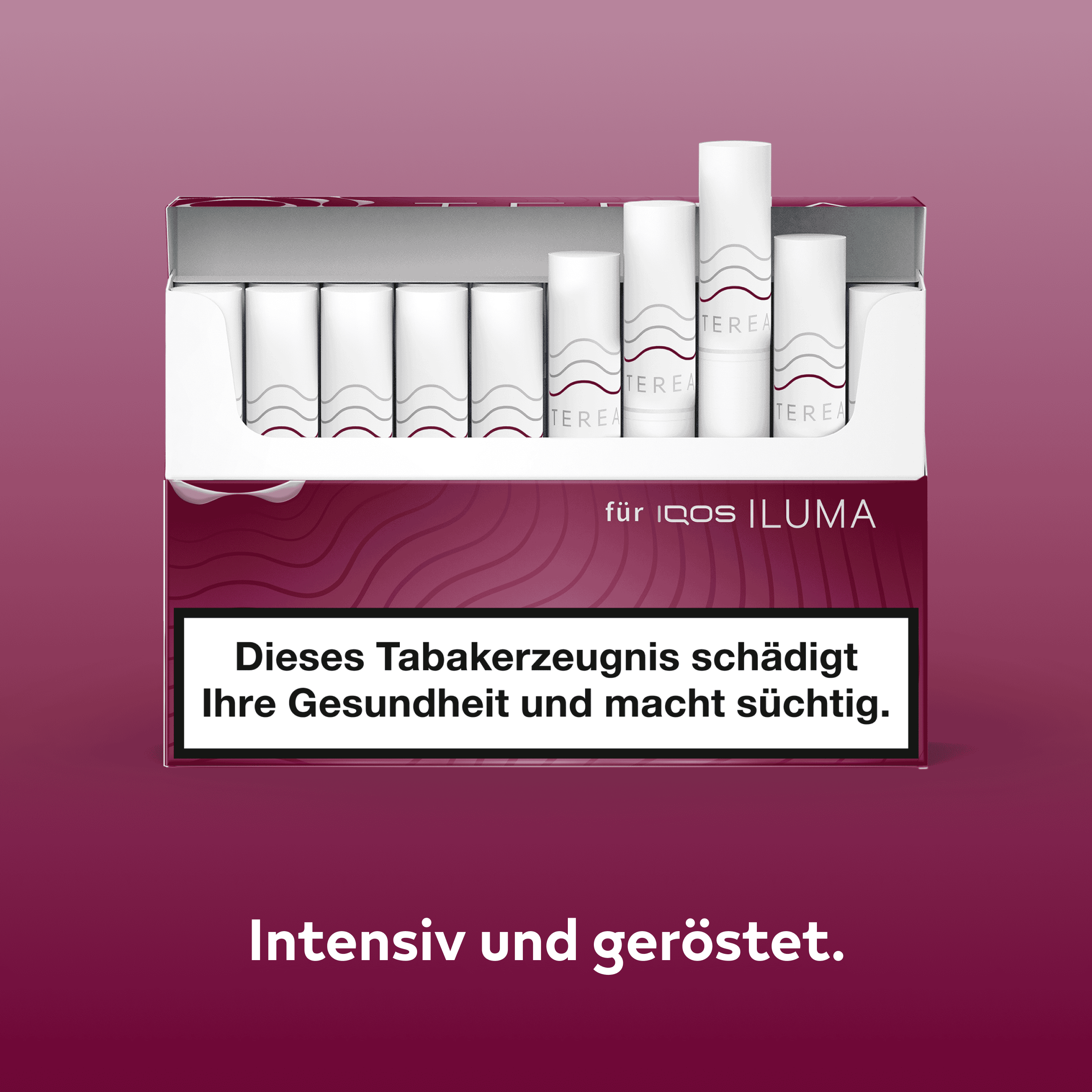 TEREA Russet Stange (Russet)