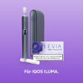 LEVIA Dark Berry (Electro Purple)