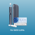 LEVIA Glacial (Deep Mint)