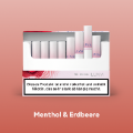 LEVIA Red Berry (AMBER SELECTION)