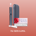 LEVIA Red Berry (AMBER SELECTION)
