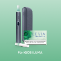 LEVIA Alpine (Green)