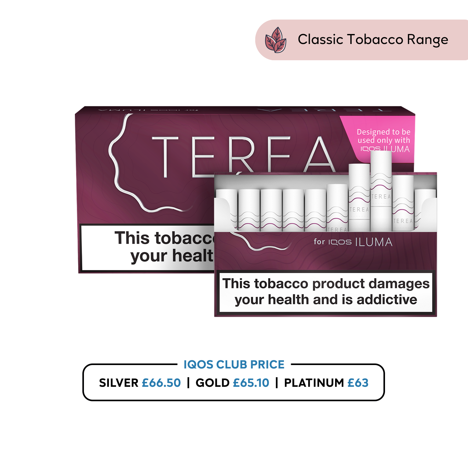 TEREA Russet (RUSSET SELECTION)
