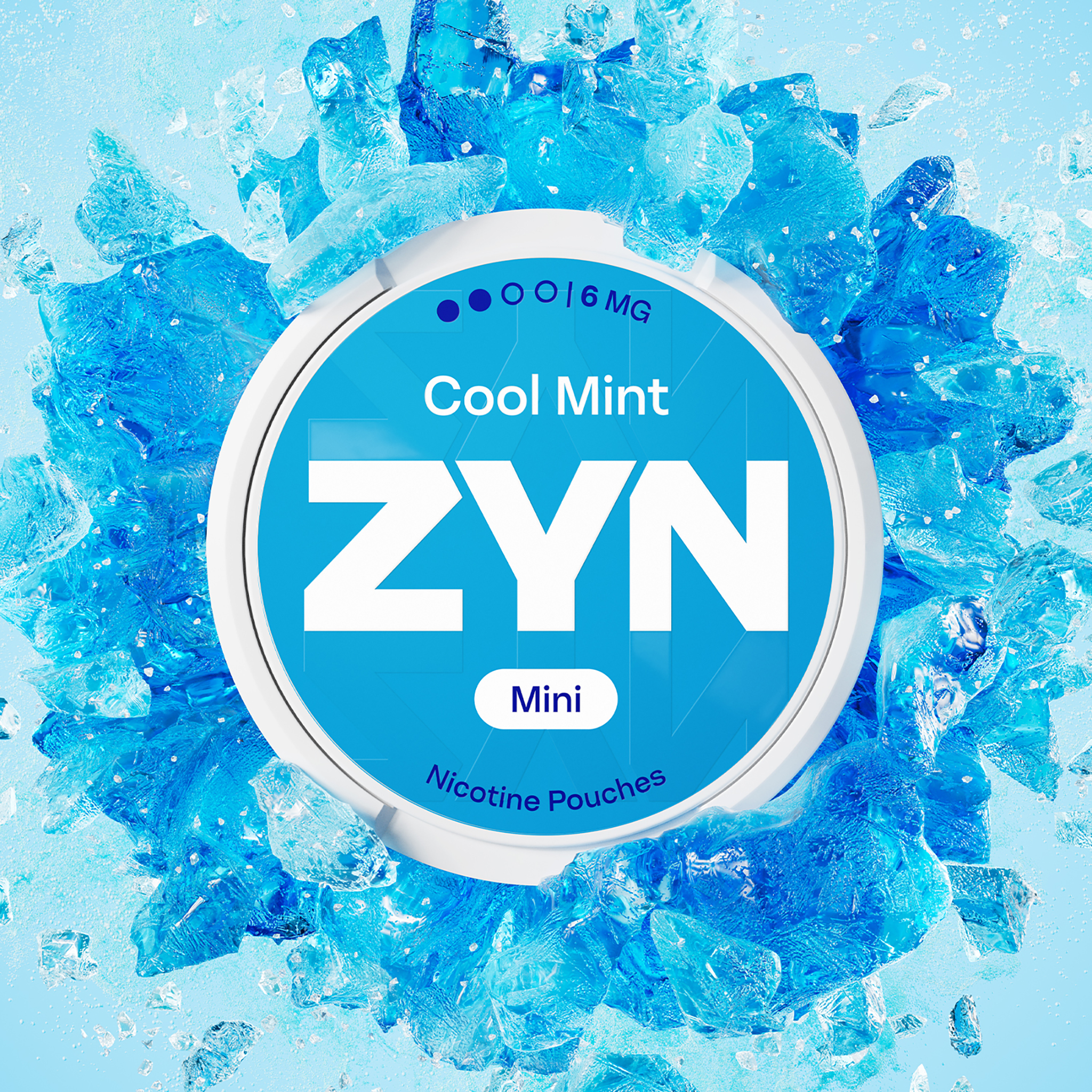 ZYN Cool Mint 6mg (COOL MINT)