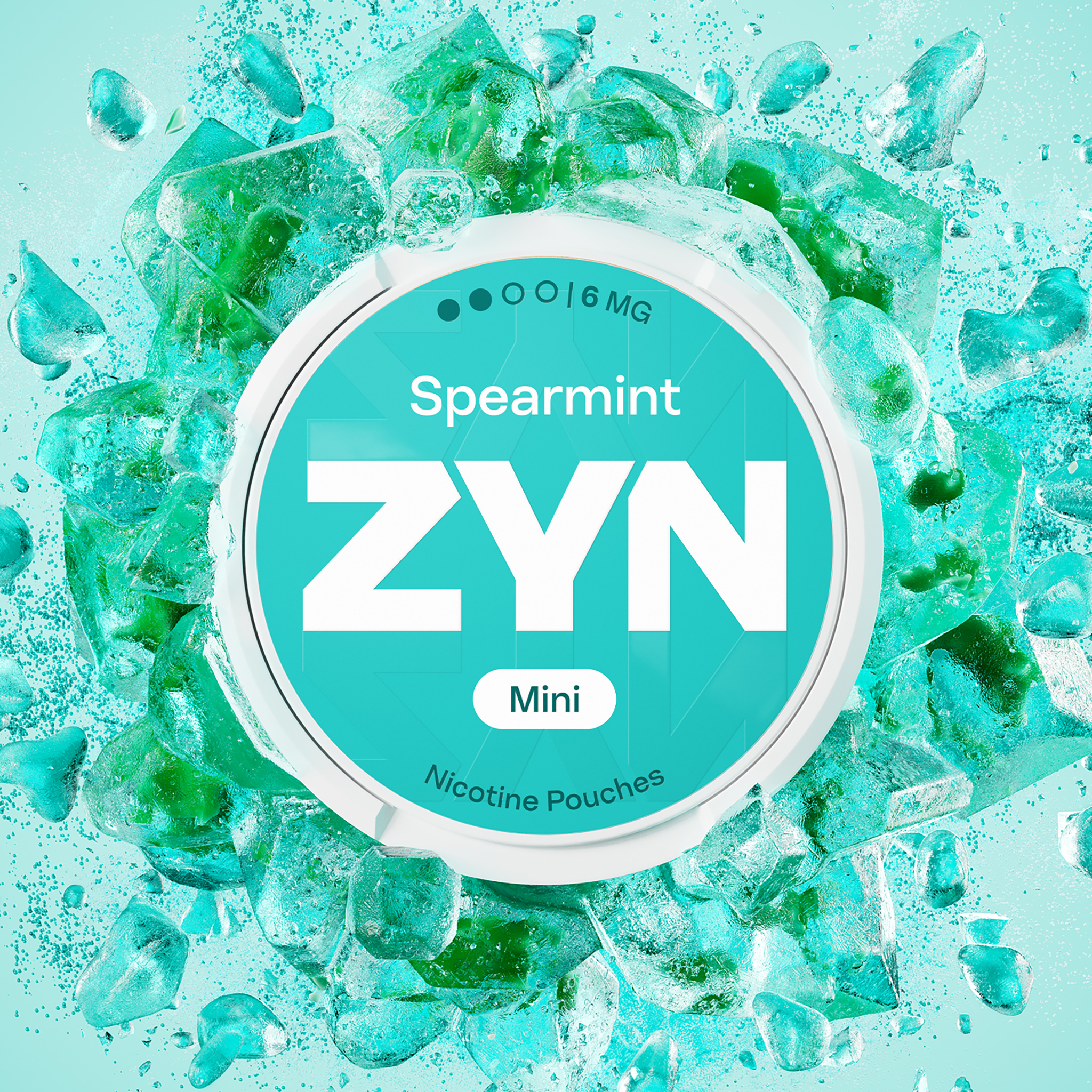 ZYN Spearmint 6mg (SPEARMINT)