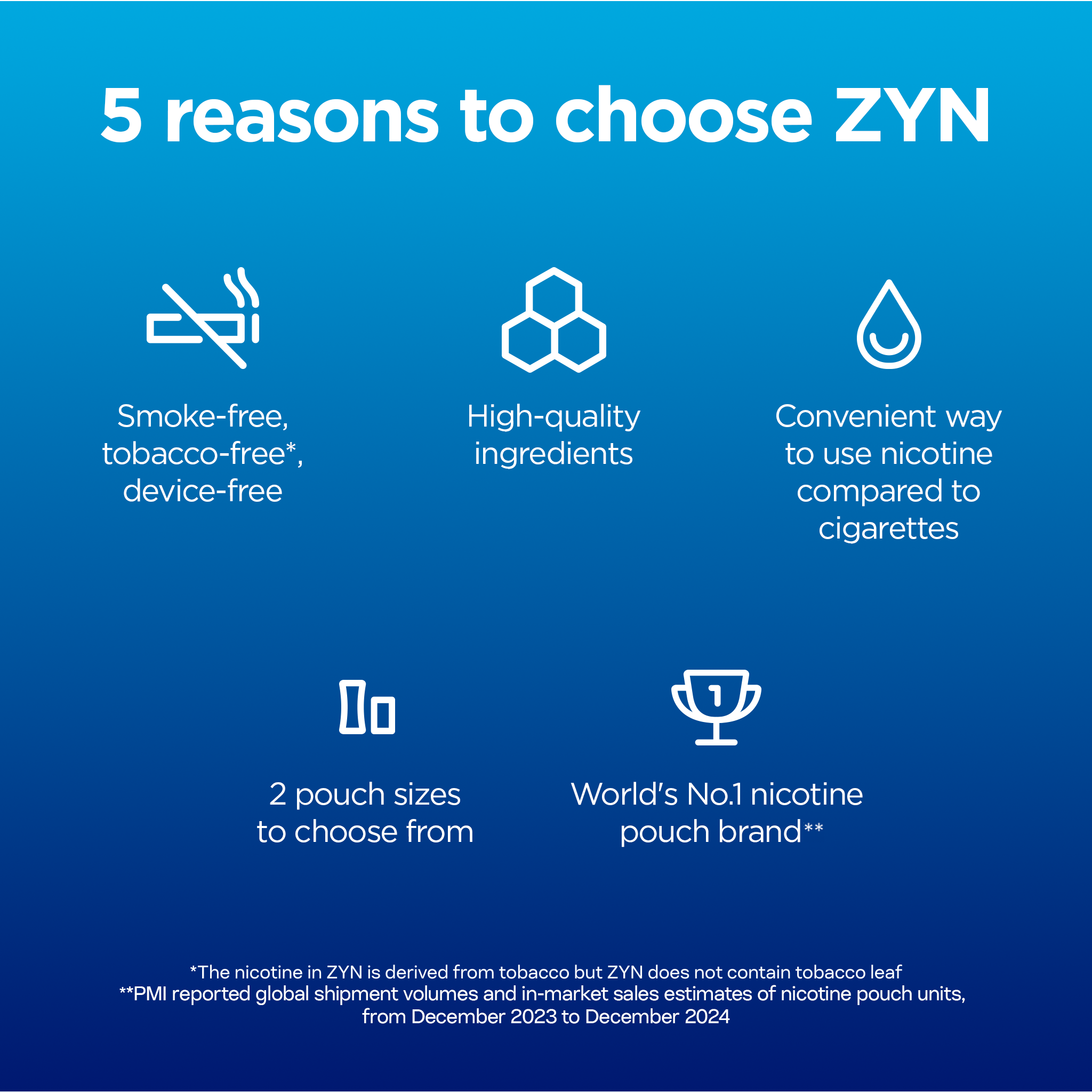 ZYN Spearmint 6mg (SPEARMINT)