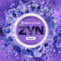 ZYN Blueberry Frost 13.5mg (Blueberry)