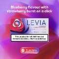 LEVIA Blueberry with Strawberry Pearl (Zero Tobacco) (Blueberry with Strawberry Pearl)