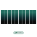 TEREA BLACK GREEN BUNDLE (10) (BLACK GREEN)