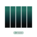 TEREA BLACK GREEN PACK (BLACK GREEN)