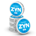 ZYN COOL MINT 6 MG (KARTÓN) (Cool Mint)